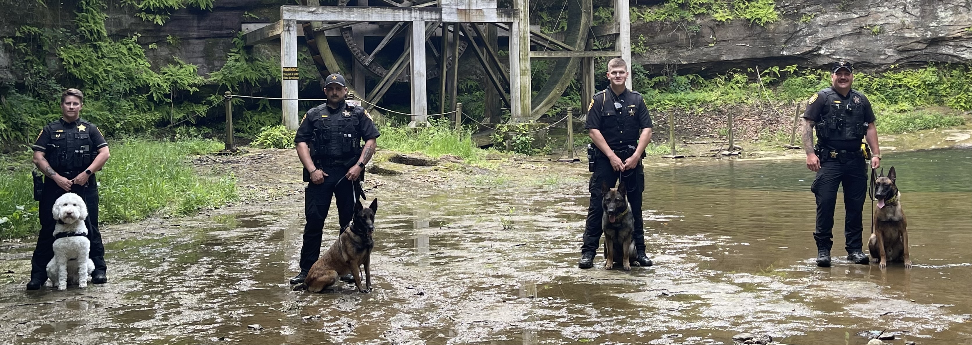K9 Unit